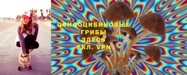 кокс Магас