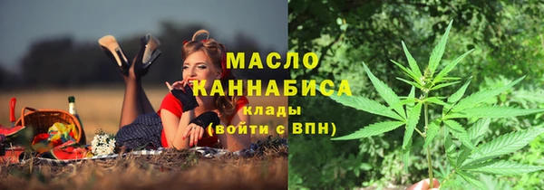 гашик Майский