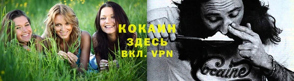 гашик Майский