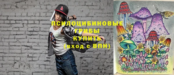 гашик Майский