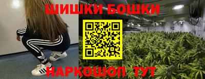 сатива Гатчина