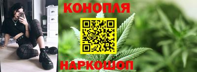 сатива Гатчина
