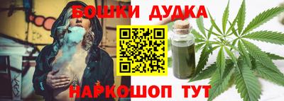 сатива Гатчина