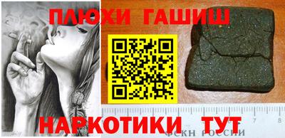 сатива Гатчина