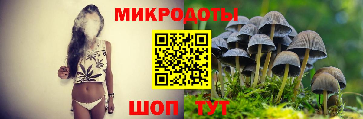 цена   Фролово  Галлюциногенные грибы MAGIC MUSHROOMS  Галлюциногенные грибы прущие грибы 